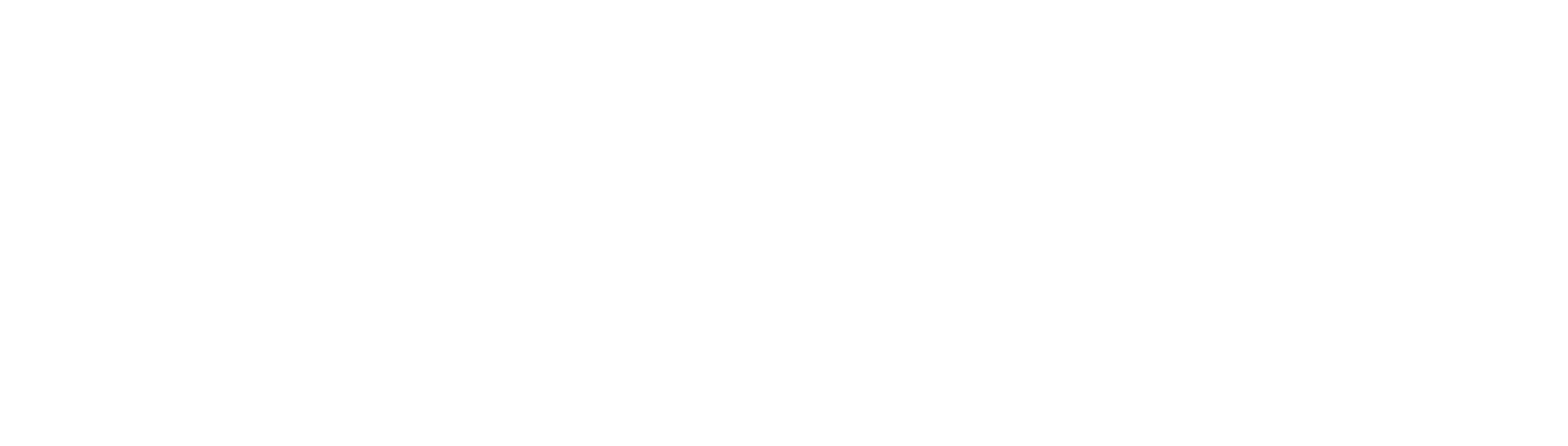 NutriPlan Logo